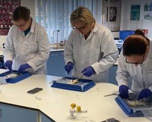 3 Science students doing experiments in the lab