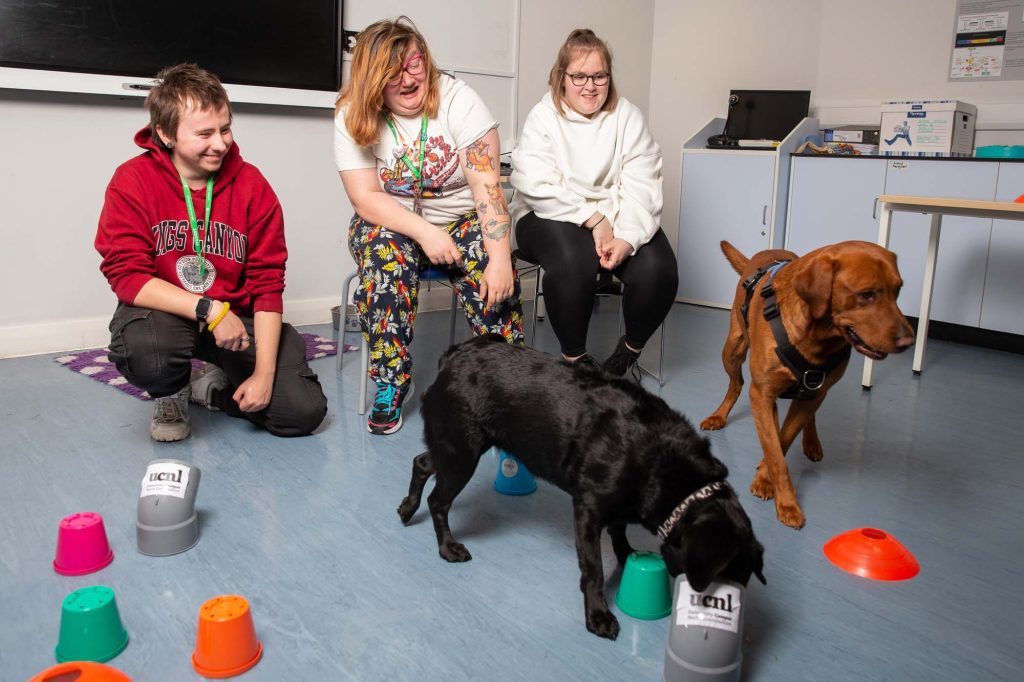 Animal Welfare Science - Image 3