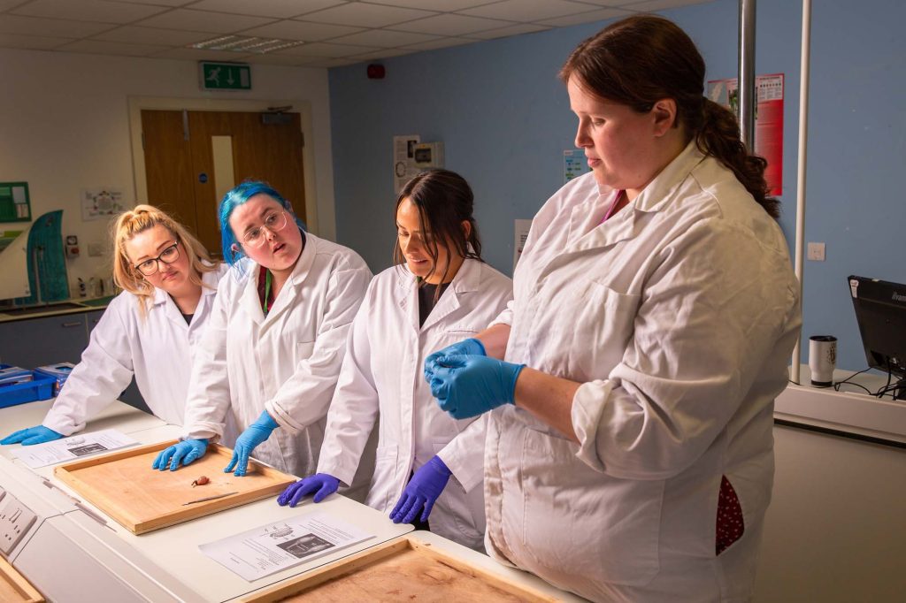 Animal Welfare Science - Image 6