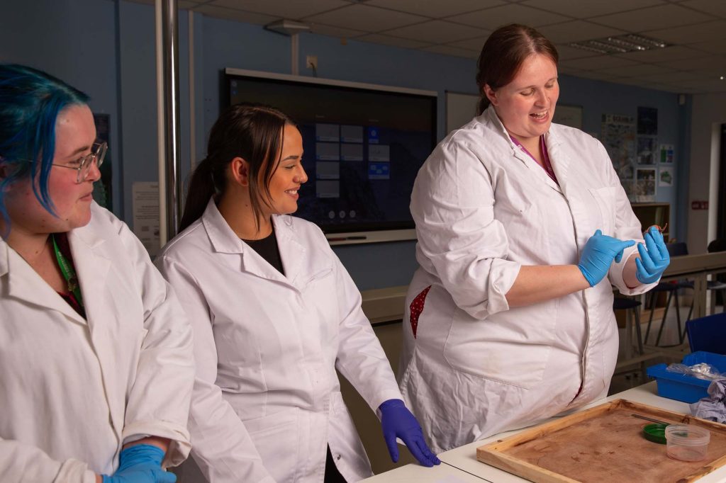 Animal Welfare Science - Image 4