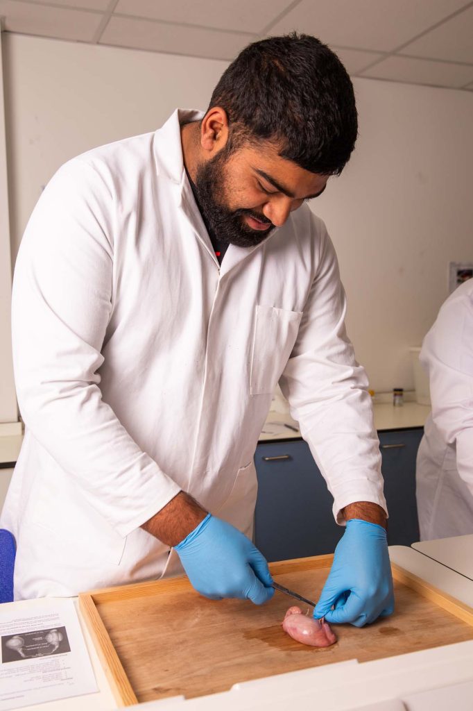 Animal Welfare Science - Image 2
