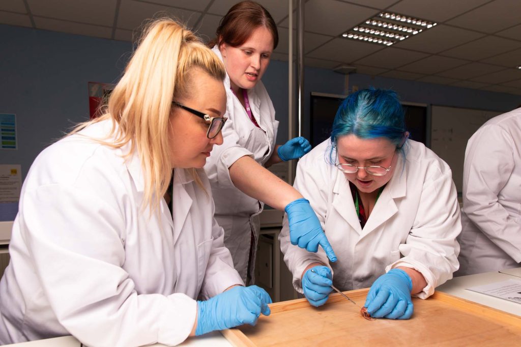 Animal Welfare Science - Image 1