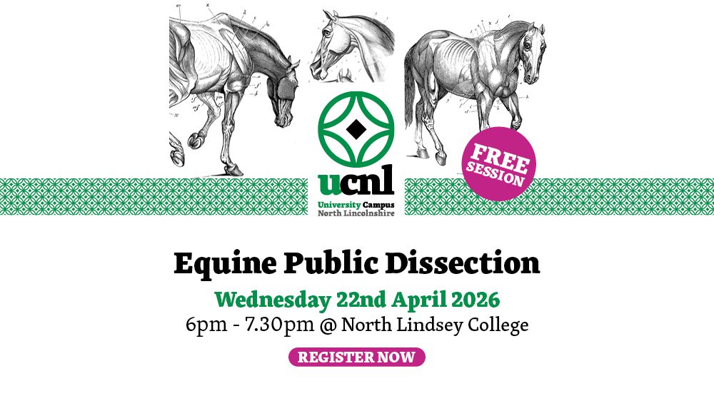 Equine Public Dissection